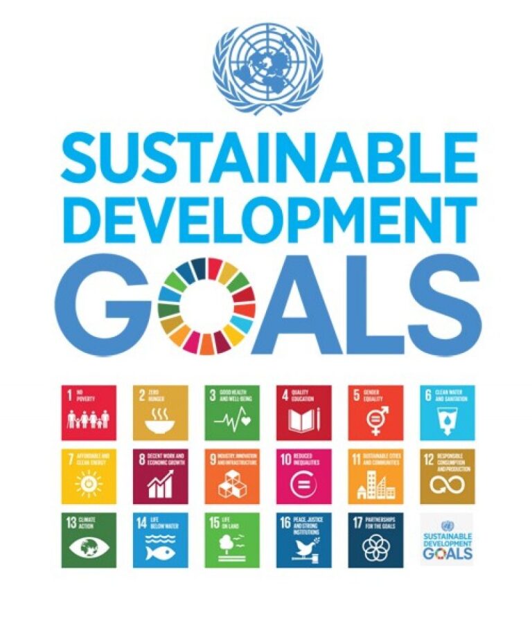 SDG Book Club to launch the African Chapter