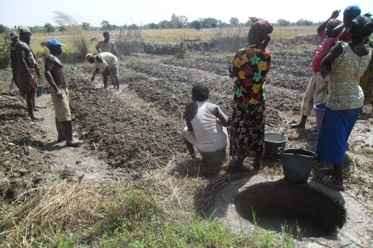 Experiences Of Tempane Farmers In The Dry Season