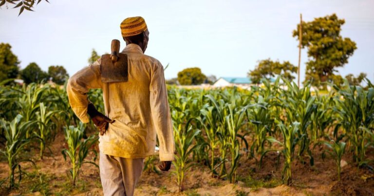 Farmers should embrace innovative agricultural practices to combat rainfall difficulties, according to Tempani Agric Director.