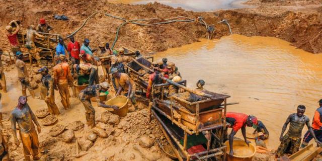 Galamsey takes over rice farms in Upper Denkyira East￼