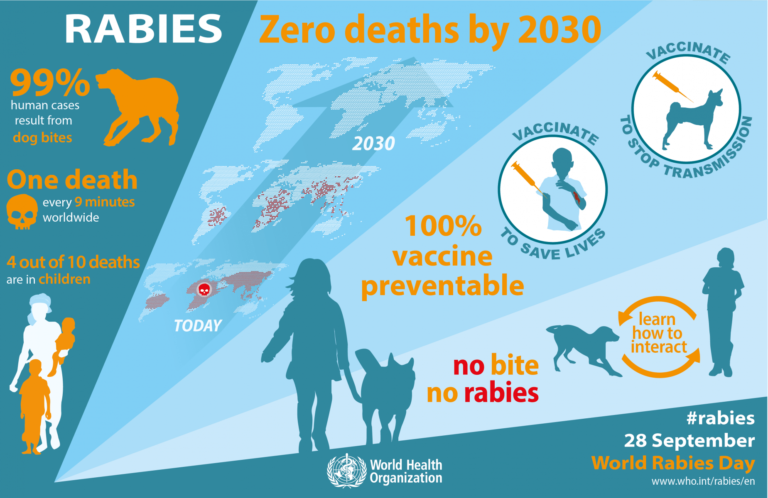 World Rabies Day: Stakeholders discuss synchronization of approaches to eradicate disease